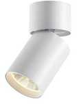 Lampa sufitowa, kinkiet spot 4000K 230V AC kolor biały regulowany FOOC