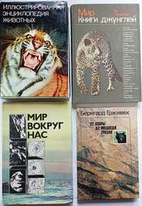 Энциклопедия животных, Мир джунглей