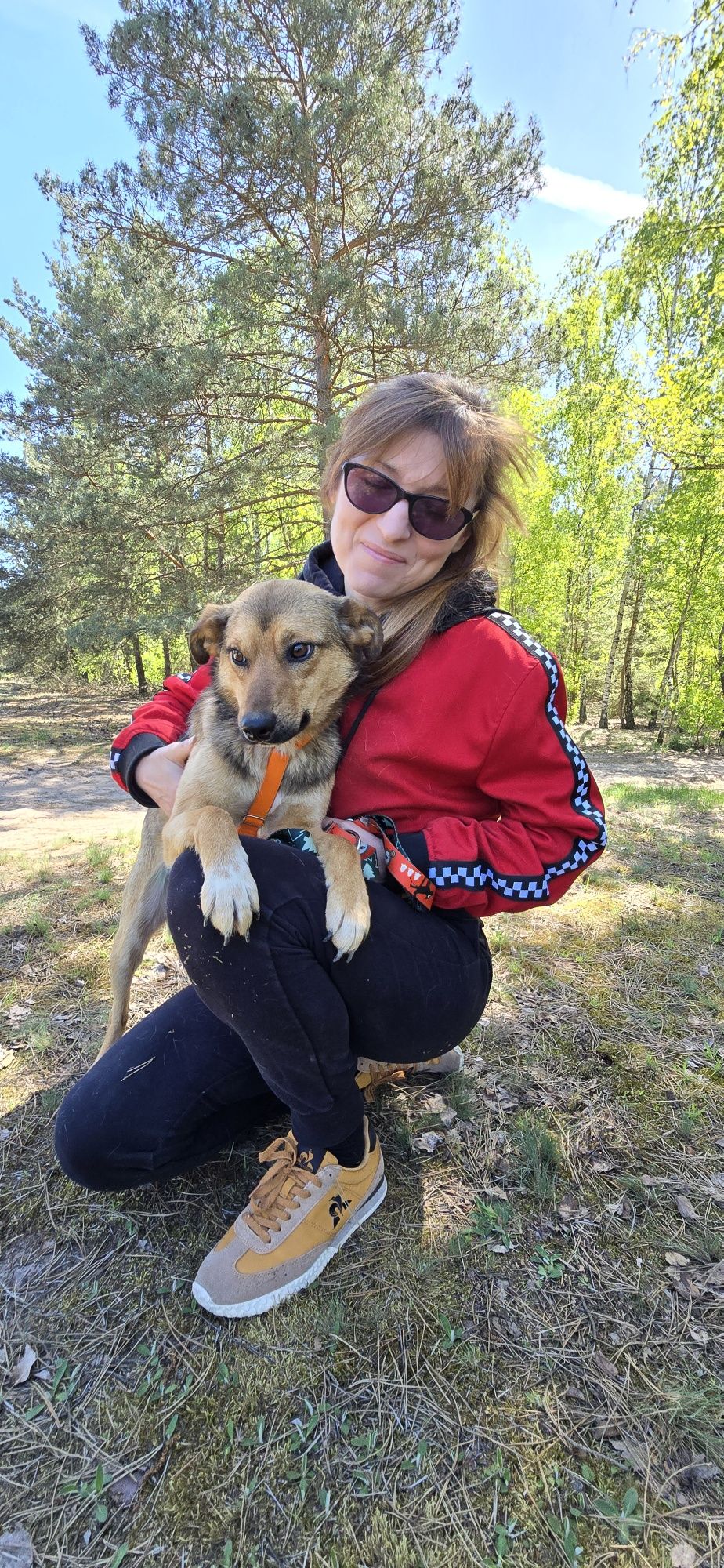 Lukier  młodziutki piesek do adopcji