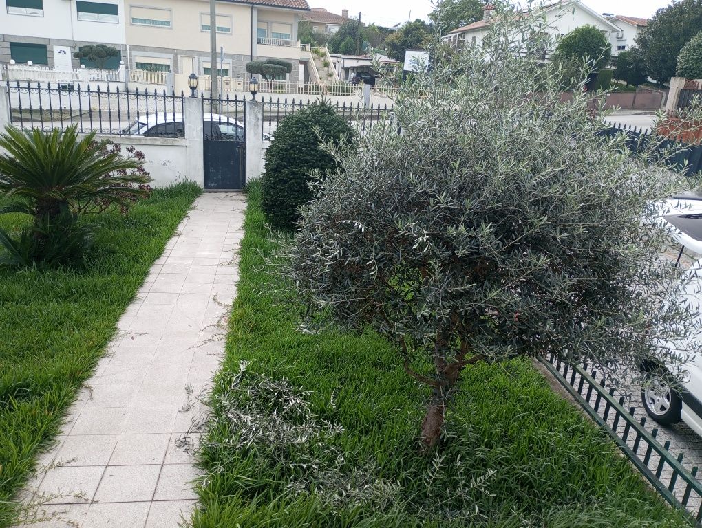 Manutenção de jardim