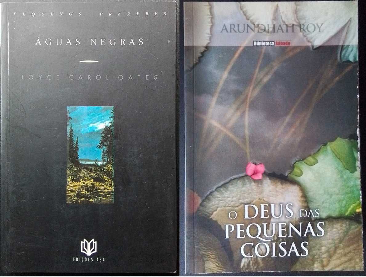 Pack de 15 livros de autores anglófonos