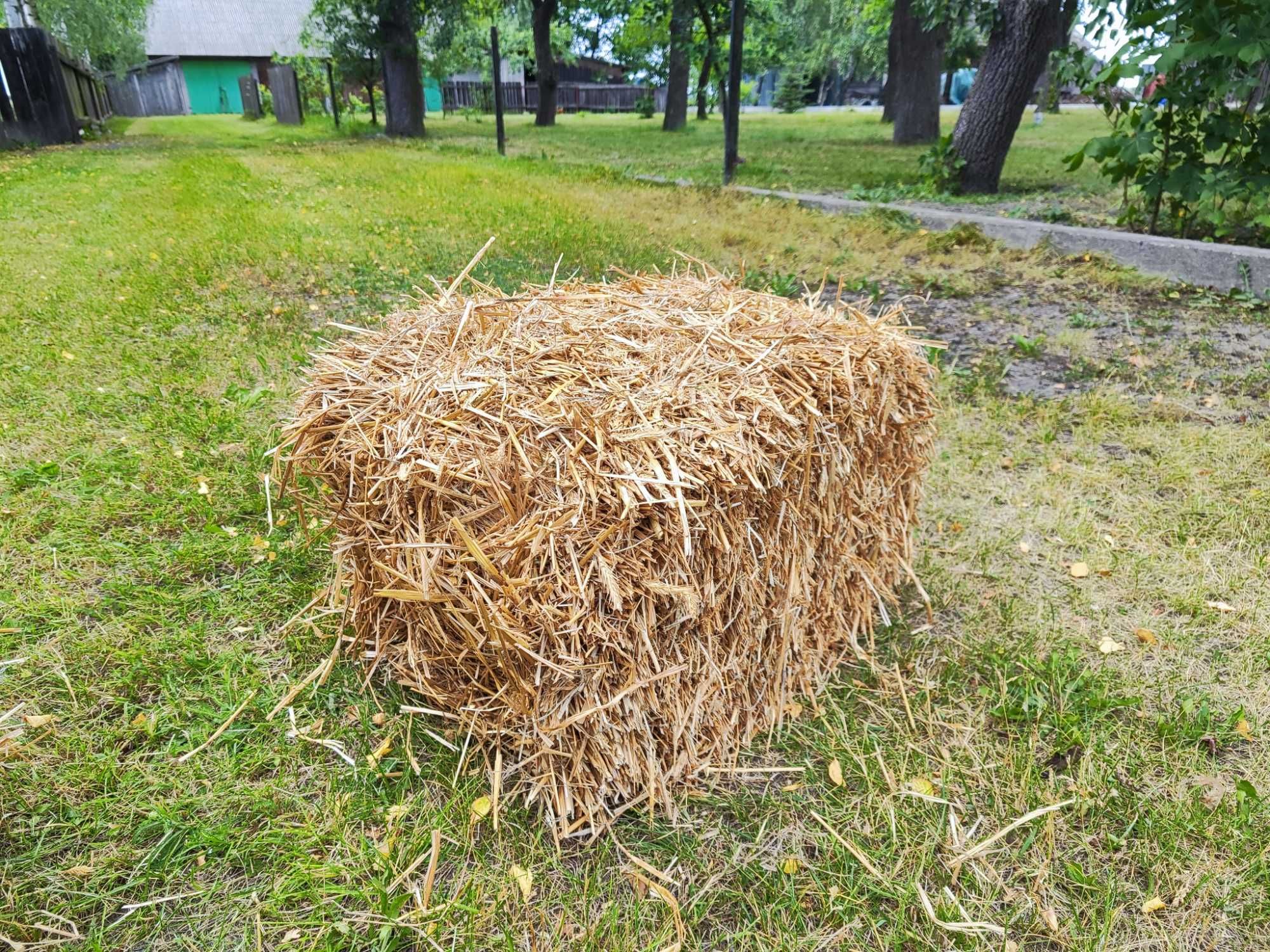 Sprzedam słomę prasowaną w małych kostkach
