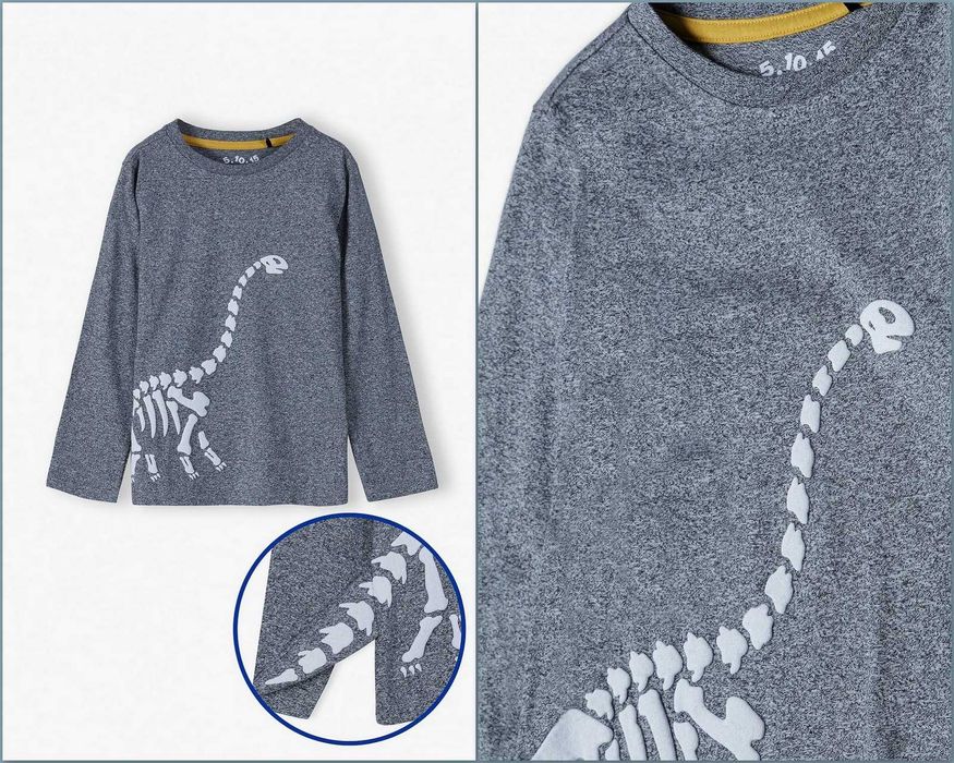 5.10.15 t szara melanżowa bluzeczka z dinozaurem 3D