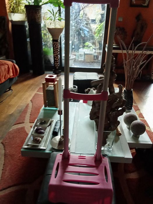 Trolley de carga