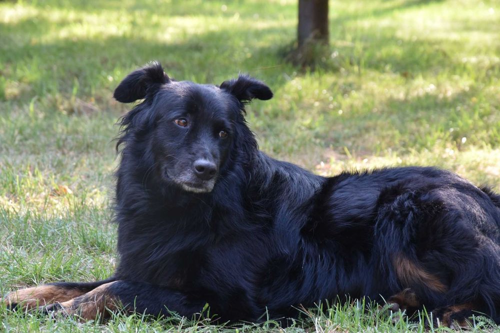 Ona i On,  żyć bez siebie nie mogą. Szukamy wspólnego domu