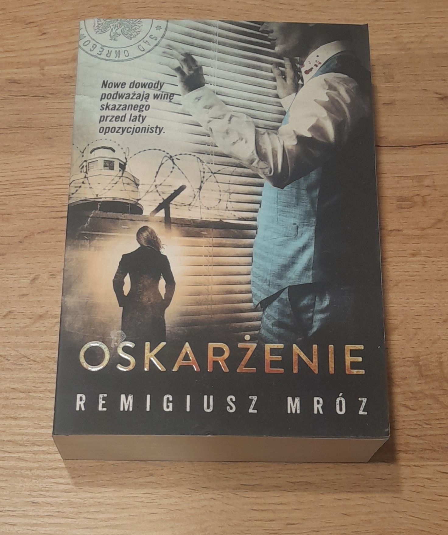 Remigiusz Mróz SERIA Z CHYŁKĄ