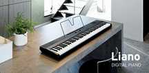 Teclado Korg Piano L1