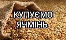 Ячмінь, ячмінь база