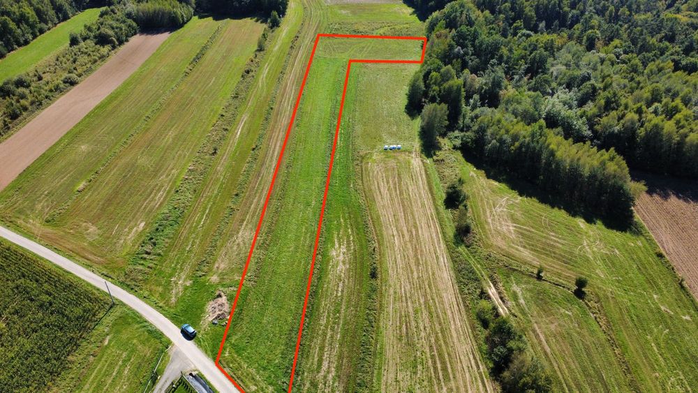 Cicha, zielona działka 35 arów, 50 min od Krakowa
