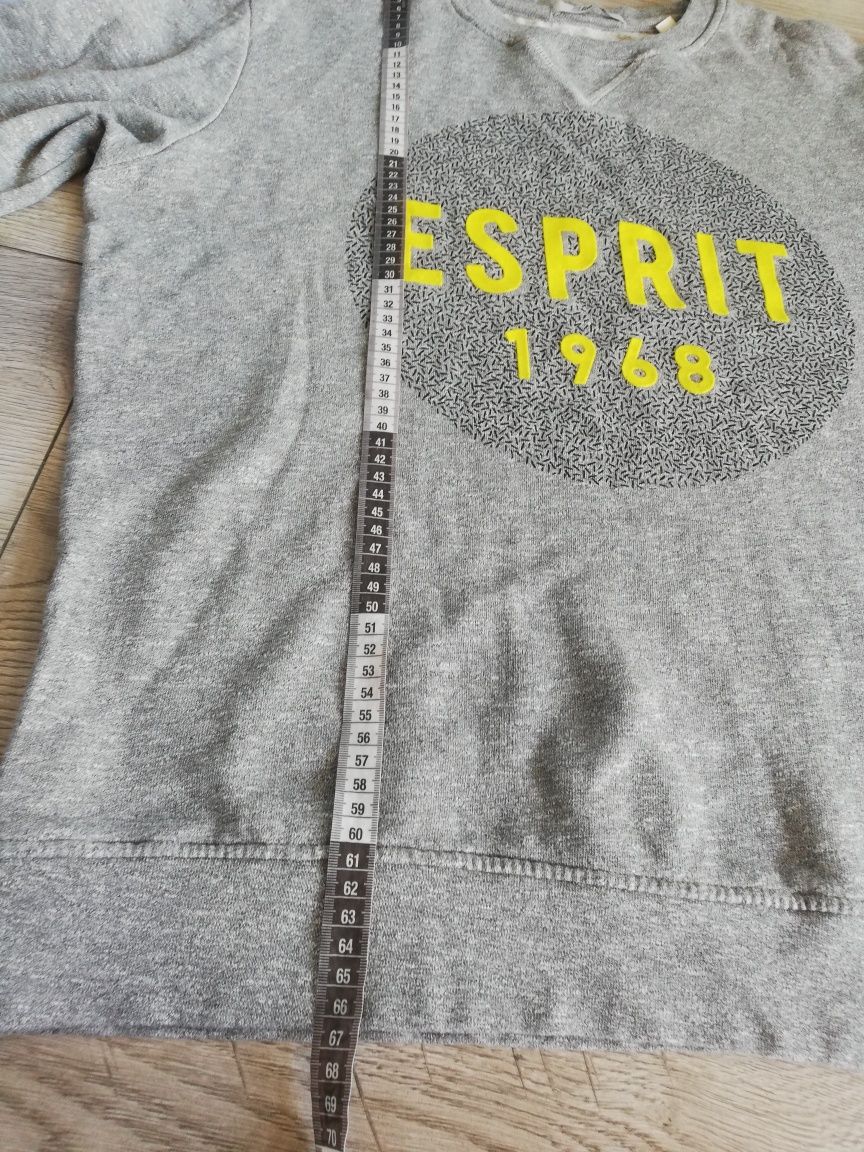 Esprit R. XL męska szara bluza bez kaptura