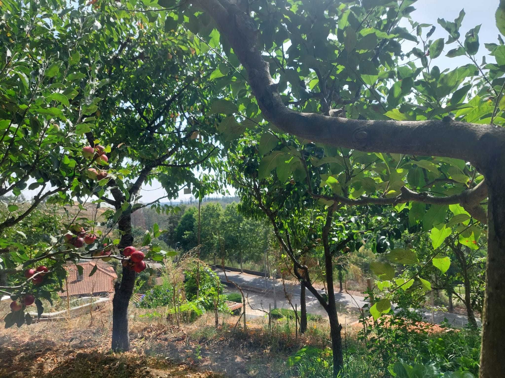 A sua casa de sonho, entre o campo e a cidade!