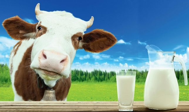 Сухое молоко для животных ЗЦМ сыворотка корм 25 кг