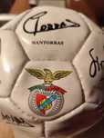 Bola de futebol assinaturas do SL Benfica