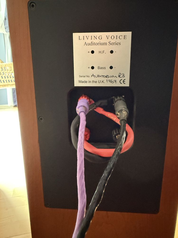 Kolumny Living Voice Auditorium R3