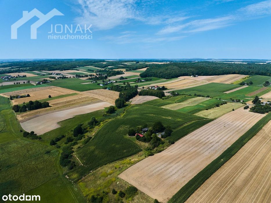 Siedlisko otoczone polami i łąkami