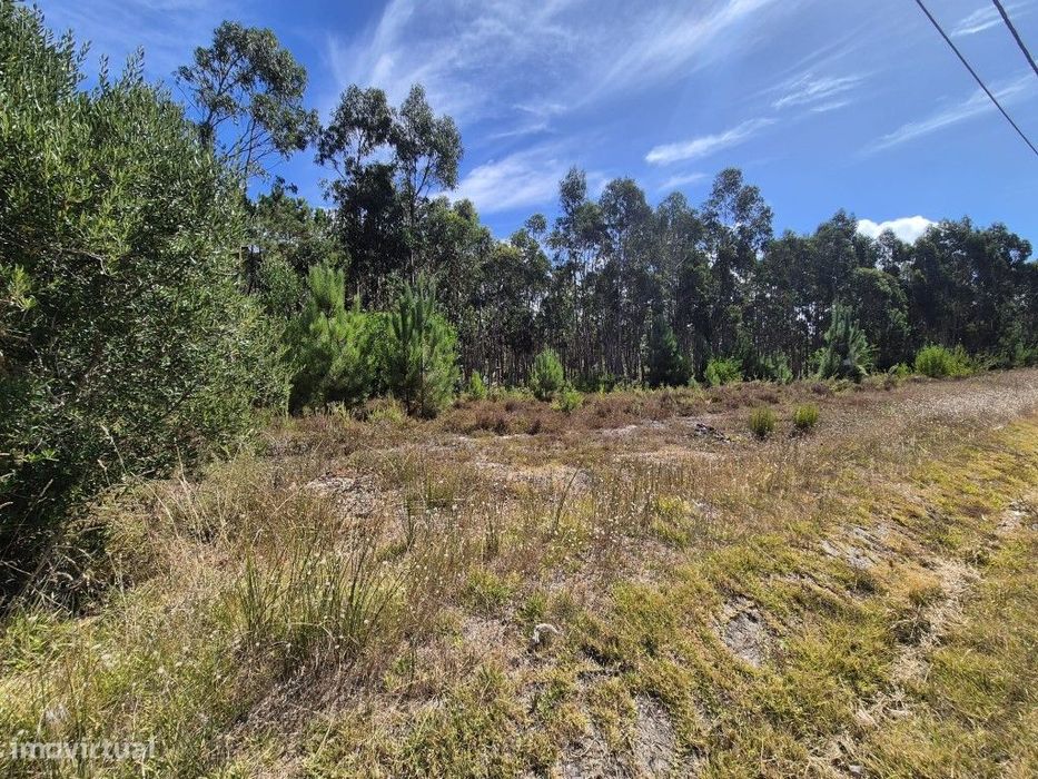 Terreno rústico com possibilidade de construção - Ribas, Figueira d...