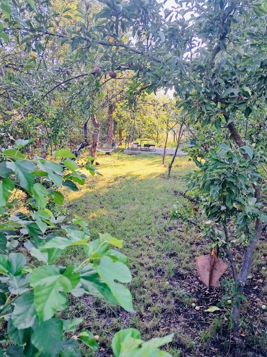 Дача біля річки!