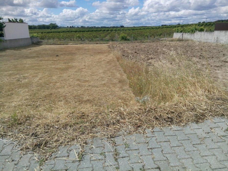 Limpeza de terrenos / lavoura e preparação de terrenos/Abate Árvores