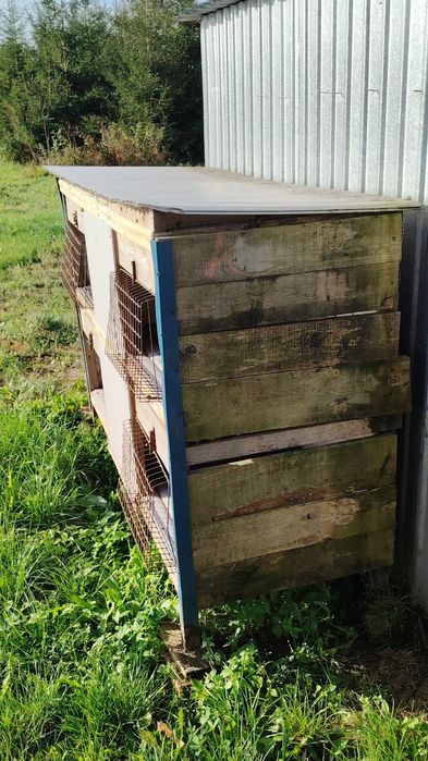 Klatka dla królików