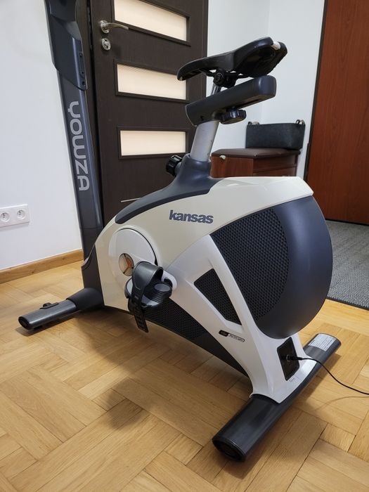 Rower stacjonarny elektromagnetyczny 8kg koło Yowza Kansas Reebok B5.1
