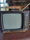 Telewizor turystyczny