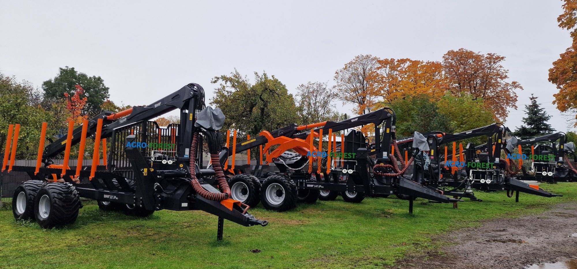 BMF 14T2PRO + Zuraw BMF 750HP Prehydraulik - Przyczepa Leśna Zrywkowa