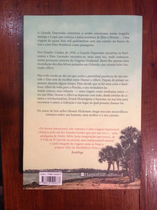 Homer Hickam - Albert regressa a casa