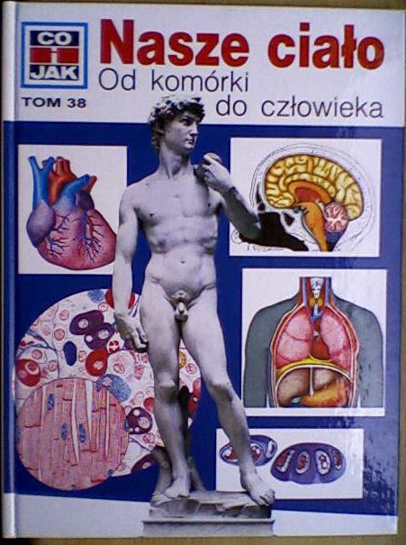 Nasze ciało od komórki do człowieka