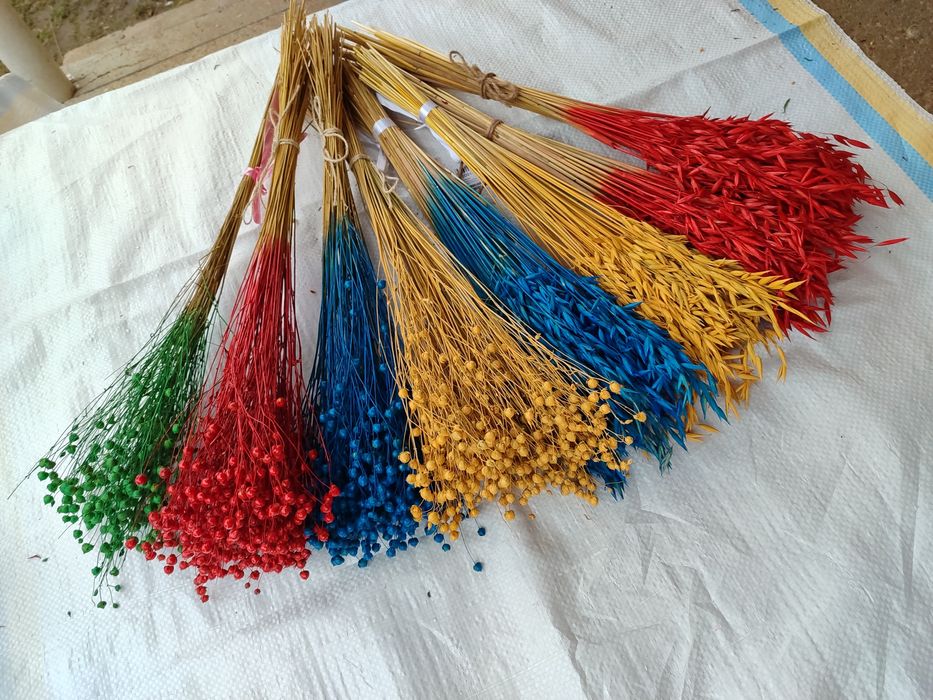 Сухоцвіти Льон овес пшениця