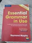 "Essential Grammar in Use"