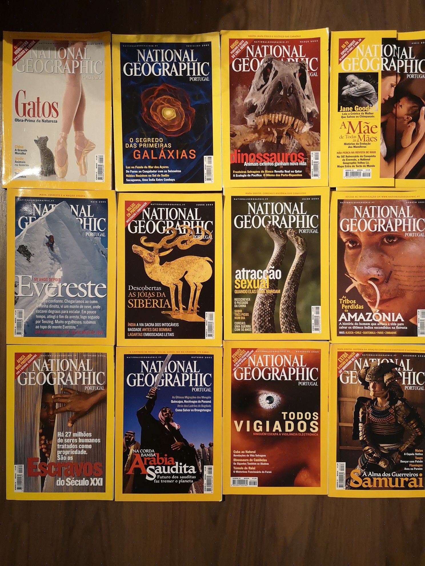 National Geographic - 12 revistas 2003