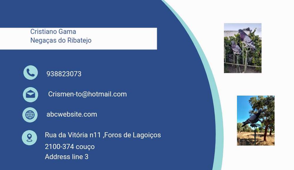 Pombos voo livre