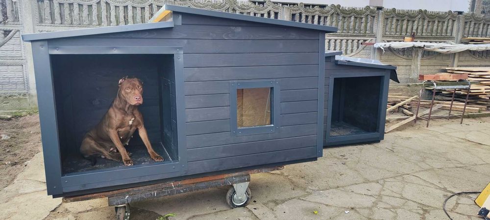 Solidna buda XXL dla dużego psa!!! Alaskan Labrador z okienkiem