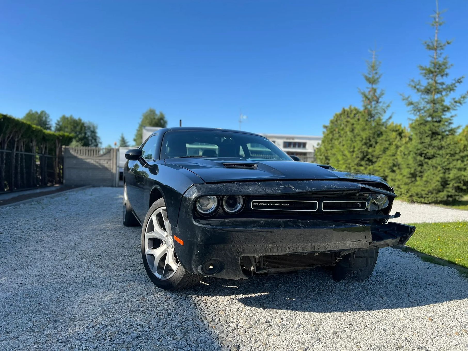 Dodge Challenger Dodge Challenger SXT Plus W KRAJU!
