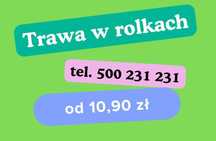 Trawa z rolki wysoka jakość dostawa pod dom chłodzona CHŁODZONA 6°C