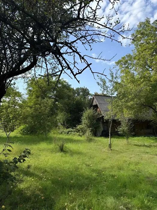 Ділянка 25 сот в с. Пійло