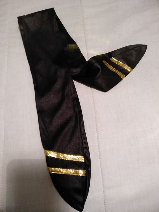 Disfarce de Hospedeira de Bordo