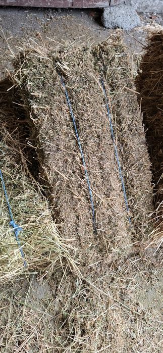 Солома вівсяна пшенична, сіно люцерна