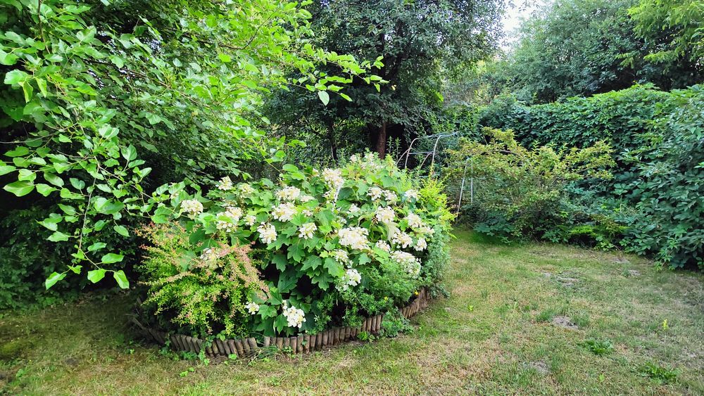 Działka ROD "Nad Jeziorem"