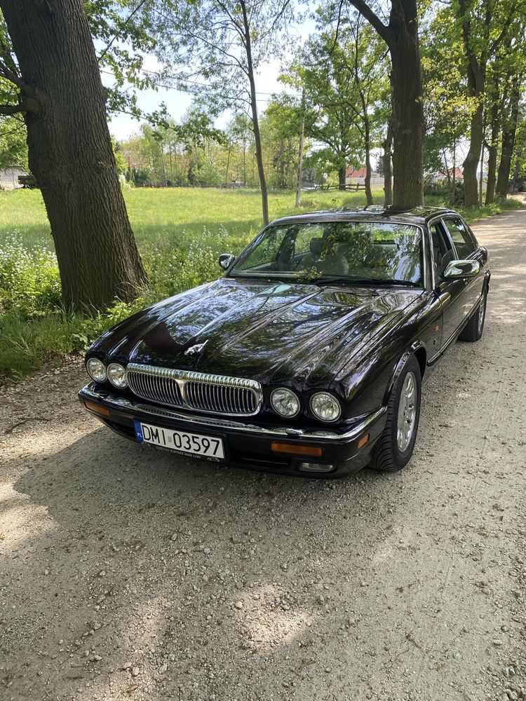 Jaguar Daimler Century 1996 1/100
