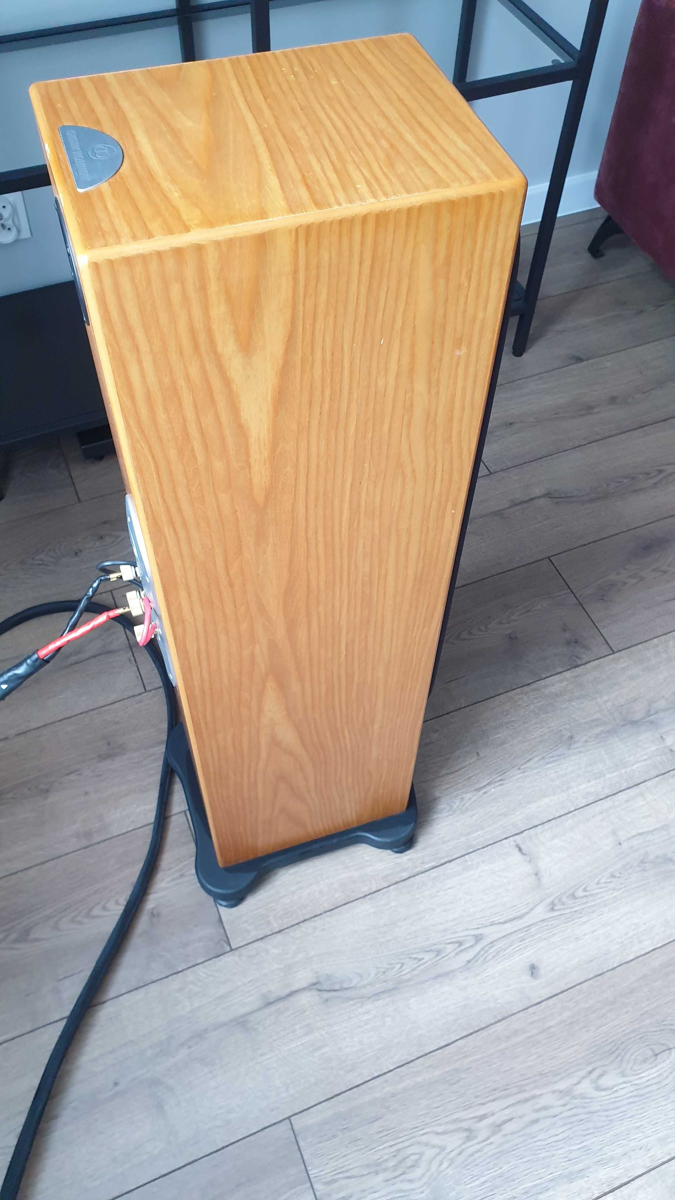 Monitor Audio RS6 (RX6, Silver, Tannoy XT)