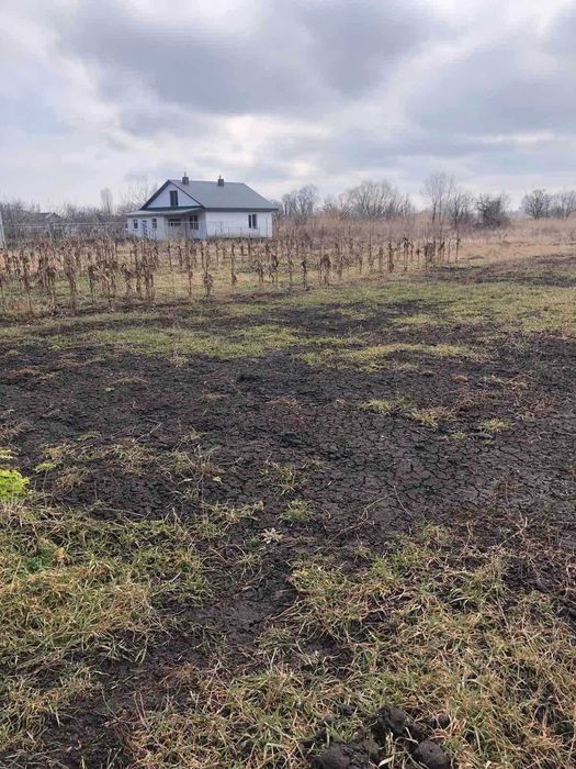 Пропоную до продажу земельну ділянку в с. Червона слобода