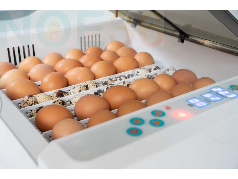 INKUBATOR DO 36jaj DROBIU klujnik dla Kur Indyków Kaczek Bażantów Gęsi