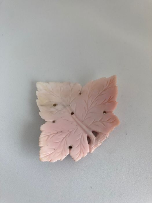 Coral Mediterrâneo  esculpido