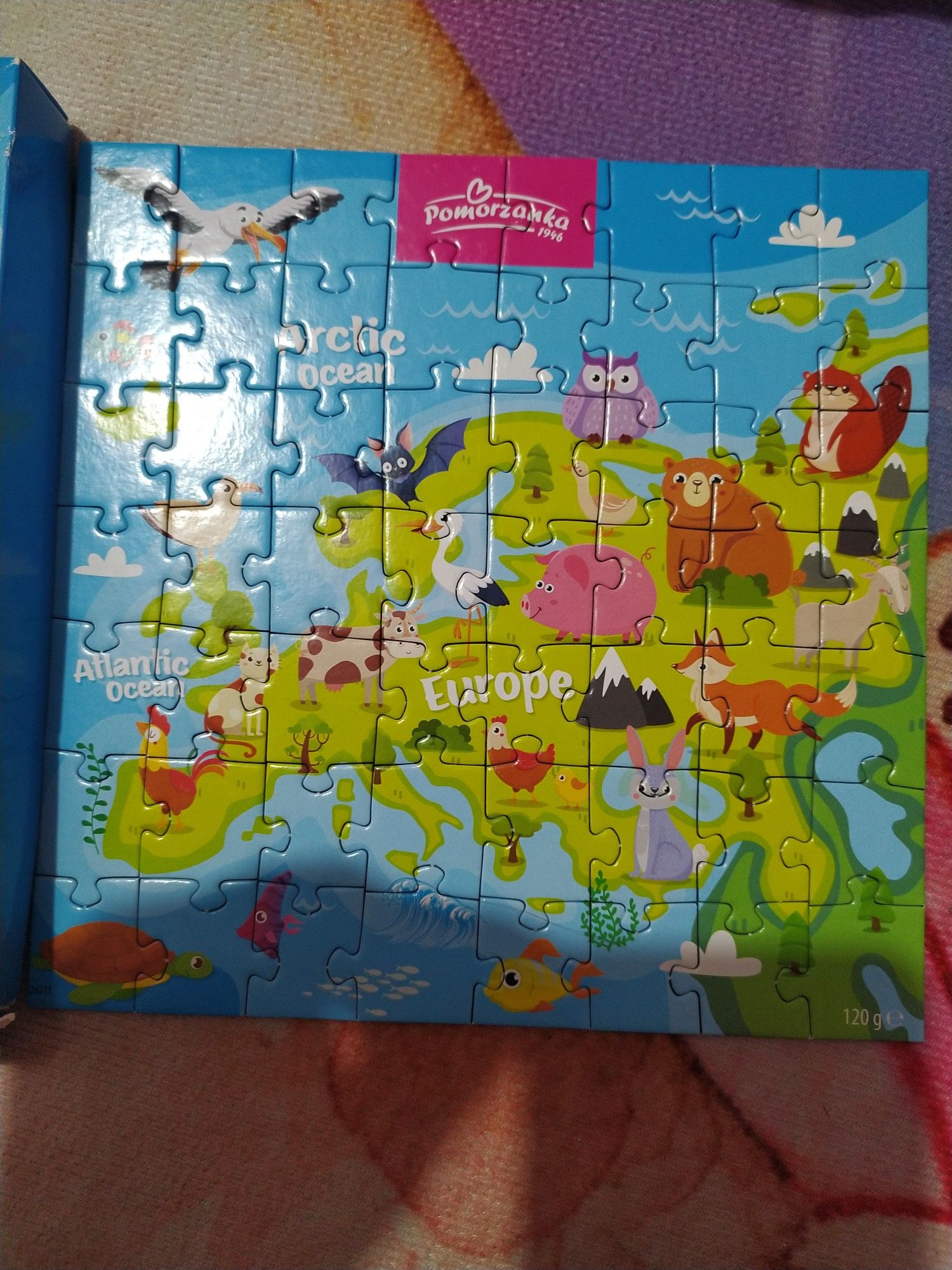 Puzzle zwierzęta