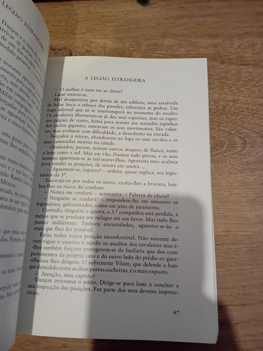 A Legião Estrangeira - Erwan Bergot
