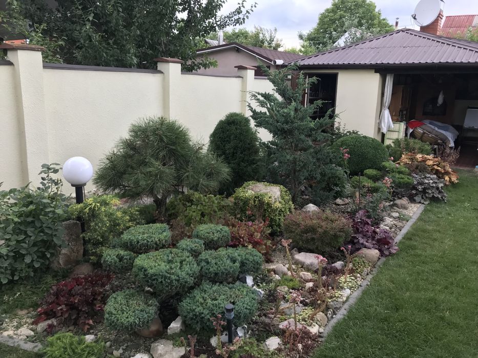 Садівник, ландшафтні роботи, автоматичний полив.