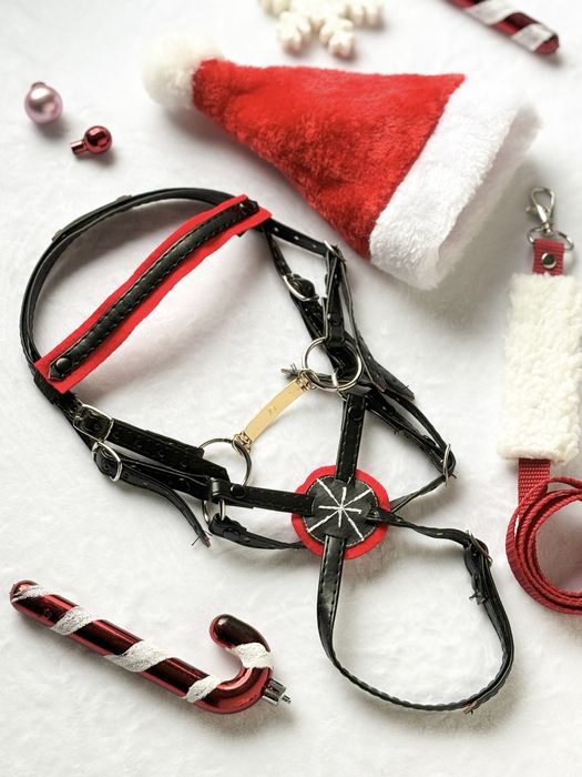 Littlehorses - Zestaw świąteczny z ogłowiem dla Hobby Horse