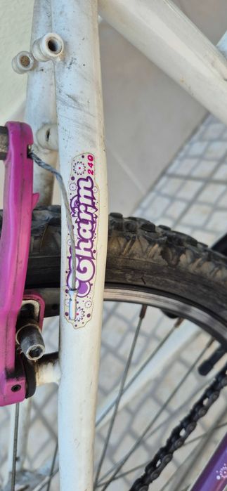 Bicicleta Berg Charm Junior Series, Roda 24''