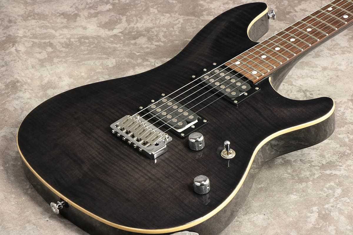 Schecter Japan RJ-1-24-VTR STBK